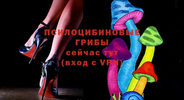 трава Гусиноозёрск