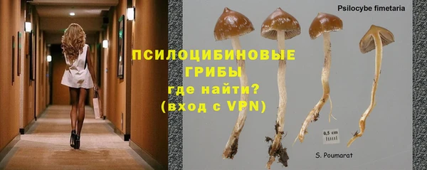 mdpv Белоозёрский