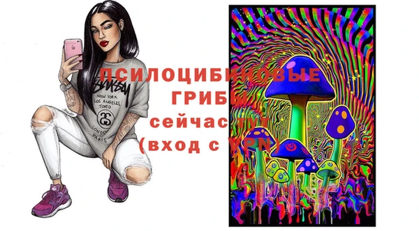 мет Пересвет
